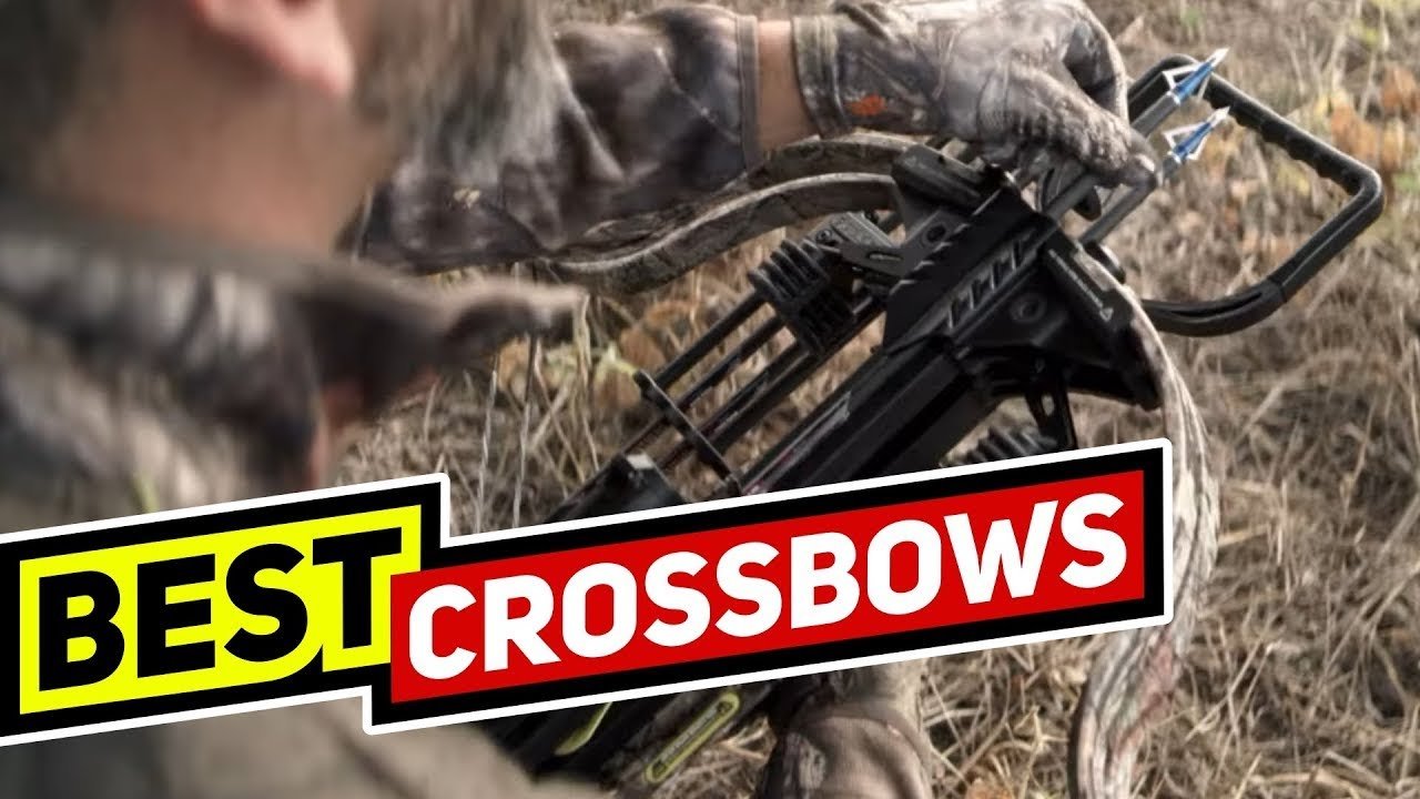 best crossbow for hunting, hunting crossbow 2025, TenPoint crossbow, Barnett crossbow, Ravin crossbow, Excalibur crossbow, crossbow for deer hunting, high-speed crossbow, compact hunting crossbow, durable crossbow, accurate hunting crossbow, best hunting gear, broadhead arrows, crossbow safety features, silent hunting weapon, hunting crossbow reviews, buy crossbow online, hunting accessories, crossbow maintenance, ethical hunting crossbow, lightweight crossbow, high power crossbow, hunting crossbow scope, fast crossbow shooting, precision crossbow, top crossbow brands, crossbow range, crossbow draw weight, hunting tips crossbow, crossbow regulations, global crossbow shipping, hunting equipment, best crossbow deals, professional hunting crossbow, crossbow durability, bow hunting alternative, hunting weapons 2025, crossbow accessories, beginner hunting crossbow, advanced hunting crossbow, powerful hunting crossbow, best compact crossbow, crossbow broadhead tips, crossbow arrow speed, hunting crossbow comparison, crossbow for beginners, hunting season gear, hunting crossbow guide, crossbow product reviews, crossbow precision scope, silent crossbow shooting.
